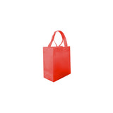 ECO BOX SMALL BAG 20x24x11x11cm 100 Piezas (Sin Impresión)